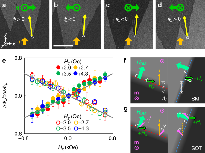 A Spin Torque Meter With Magnetic Facet Domains Nature Communications A Spin Torque Meter With Magnetic Facet Domains Nature Communications