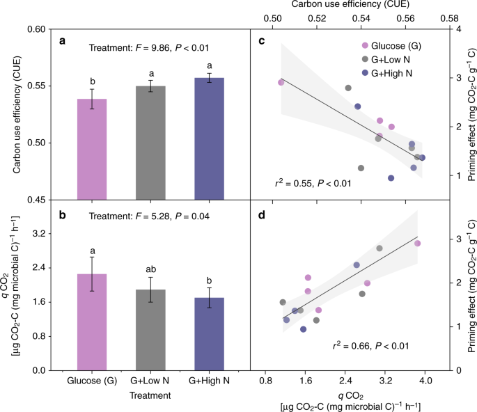 Nitrogen Availability Regulates Topsoil Carbon Dynamics After Permafrost Thaw By Altering Microbial Metabolic Efficiency Nature Communications