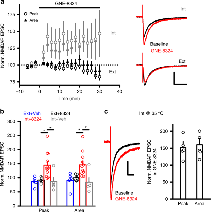 Location and distribution of inhibitory synapses differentially affect