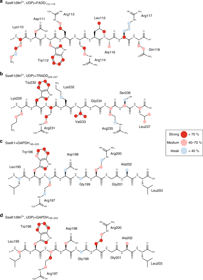 Structural Basis For Arginine Glycosylation Of Host Substrates By Bacterial Effector Proteins Nature Communications