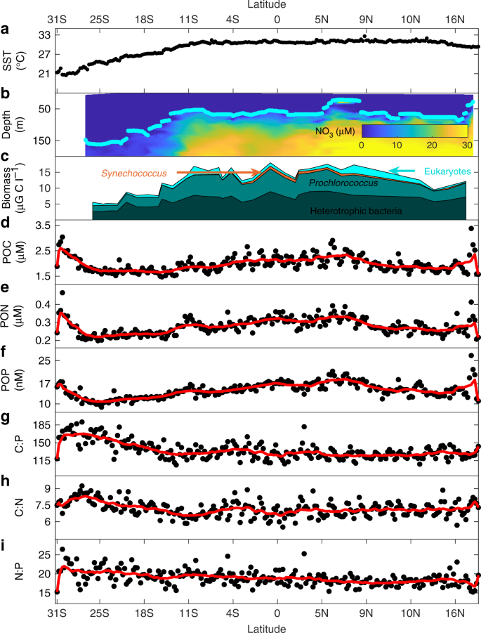 Nutrient Supply Controls Particulate Elemental Concentrations And Ratios In The Low Latitude Eastern Indian Ocean Nature Communications