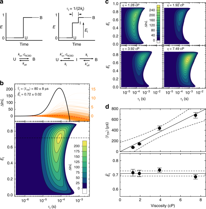 Transition Path Times Of Coupled Folding And Binding Reveal The Formation Of An Encounter Complex Nature Communications