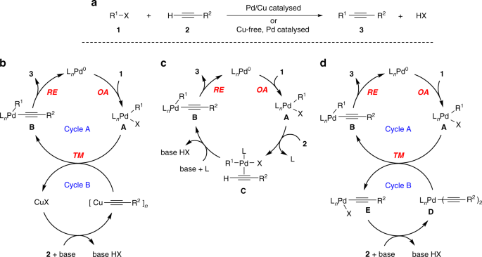 Mechanism of copper-free Sonogashira reaction operates through palladium- palladium transmetallation | Nature Communications