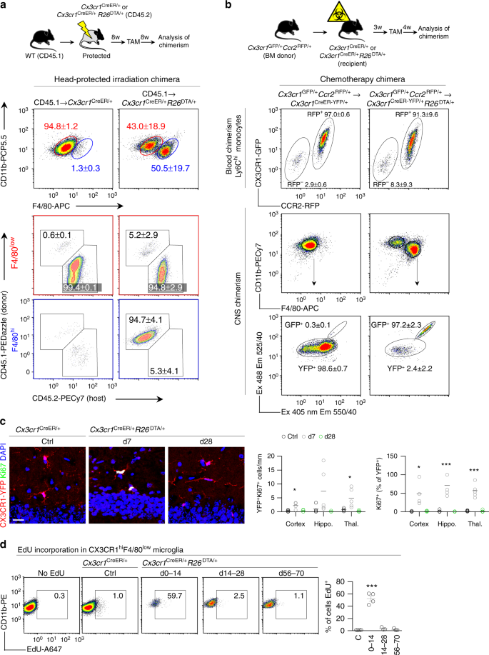 Competitive Repopulation Of An Empty Microglial Niche Yields Functionally Distinct Subsets Of Microglia Like Cells Nature Communications