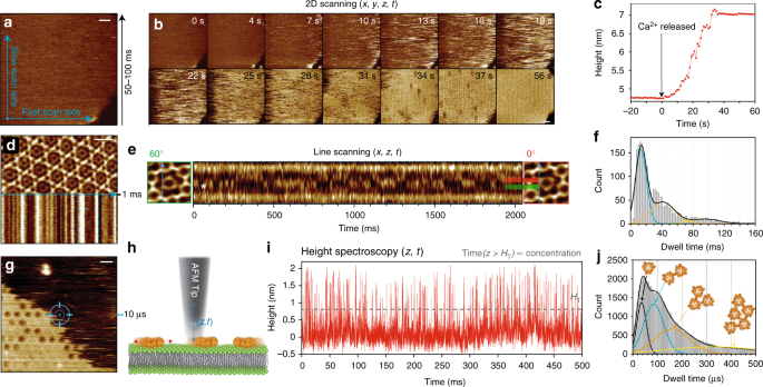 High Speed Afm Height Spectroscopy Reveals µs Dynamics Of Unlabeled Biomolecules Nature Communications