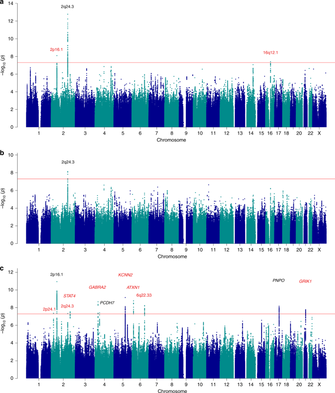 Genome-wide mega-analysis identifies 16 loci and highlights diverse  biological mechanisms in the common epilepsies | Nature Communications