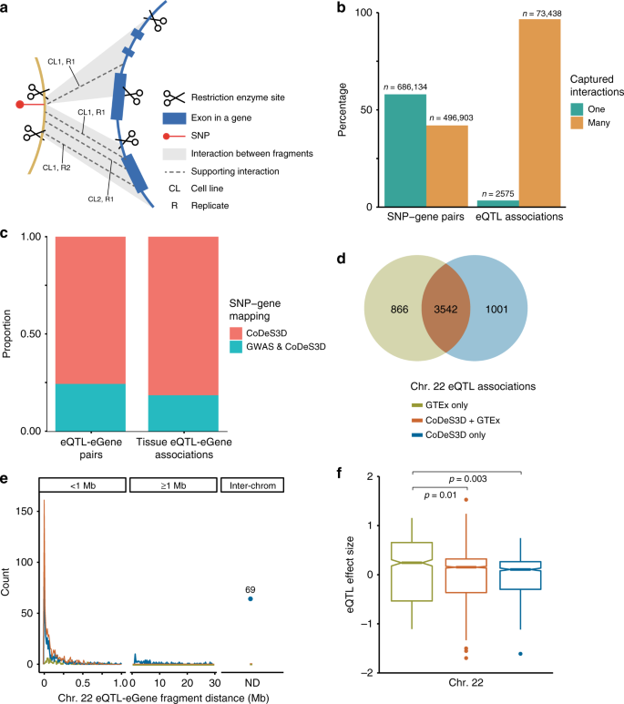 Chromatin Interactions And Expression Quantitative Trait Loci Reveal Genetic Drivers Of Multimorbidities Nature Communications