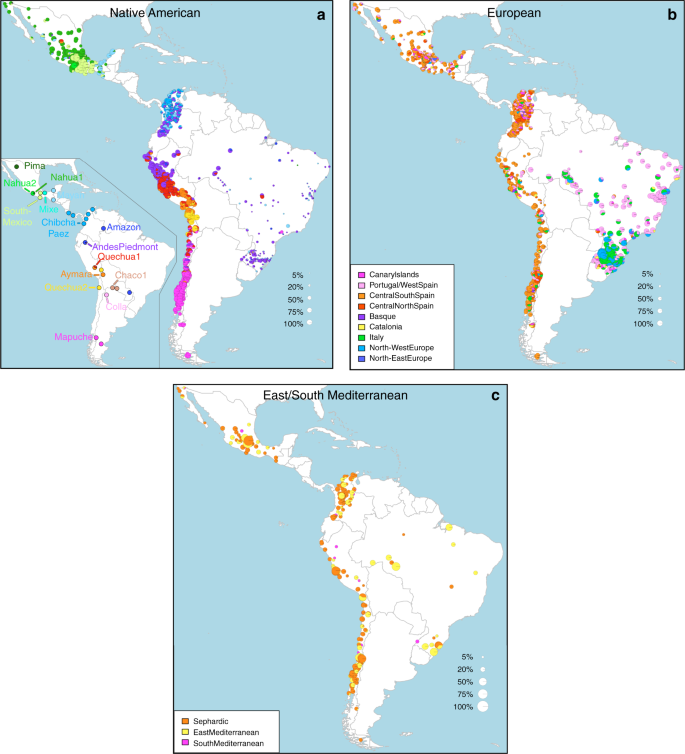 Latin Americans show wide-spread Converso ancestry and imprint of local  Native ancestry on physical appearance | Nature Communications