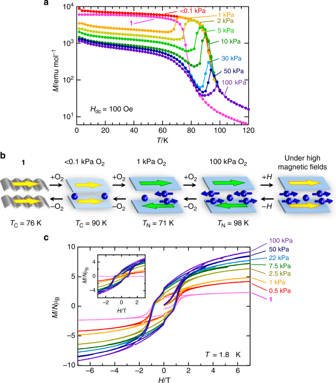 Gas-responsive porous magnet distinguishes the electron spin of molecular  oxygen | Nature Communications