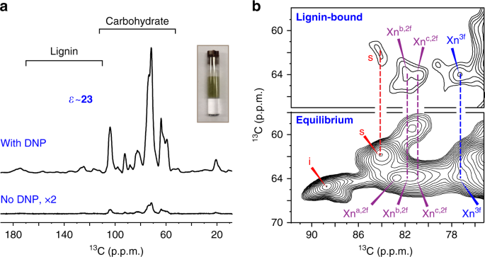 Lignin Polysaccharide Interactions In Plant Secondary Cell Walls Revealed By Solid State Nmr Nature Communications
