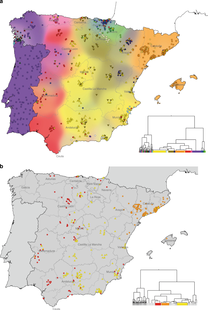 Patterns Of Genetic Differentiation And The Footprints Of Historical Migrations In The Iberian Peninsula Nature Communications