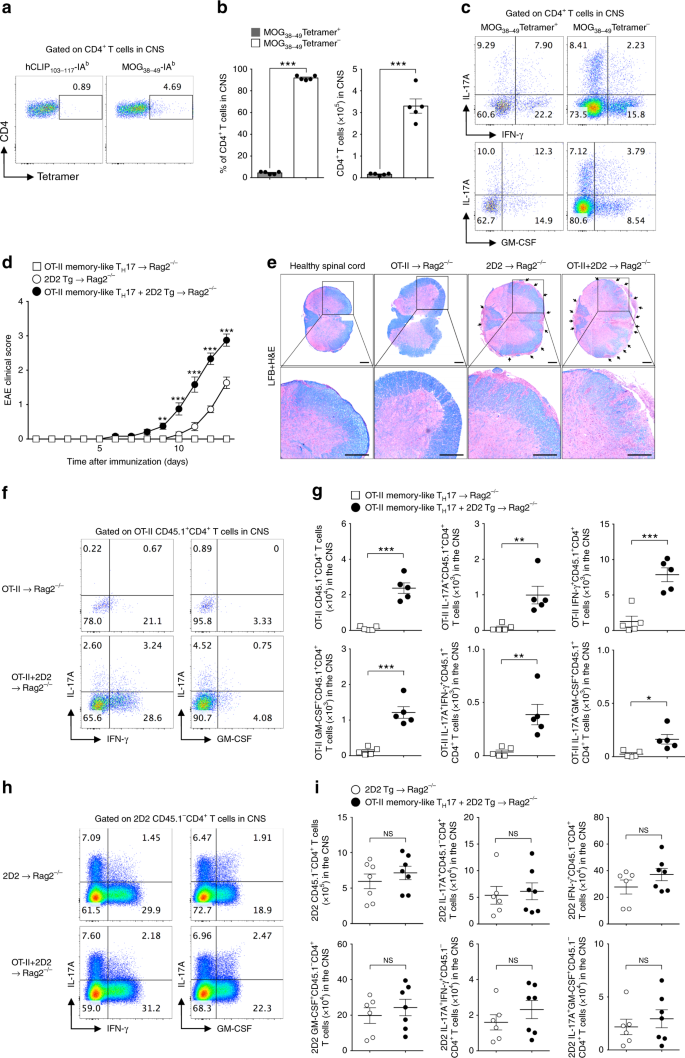Pathogenic function of bystander-activated 