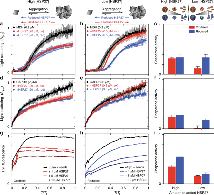 Local Unfolding Of The Hsp27 Monomer Regulates Chaperone Activity Nature Communications Local Unfolding Of The Hsp27 Monomer Regulates Chaperone Activity Nature Communications