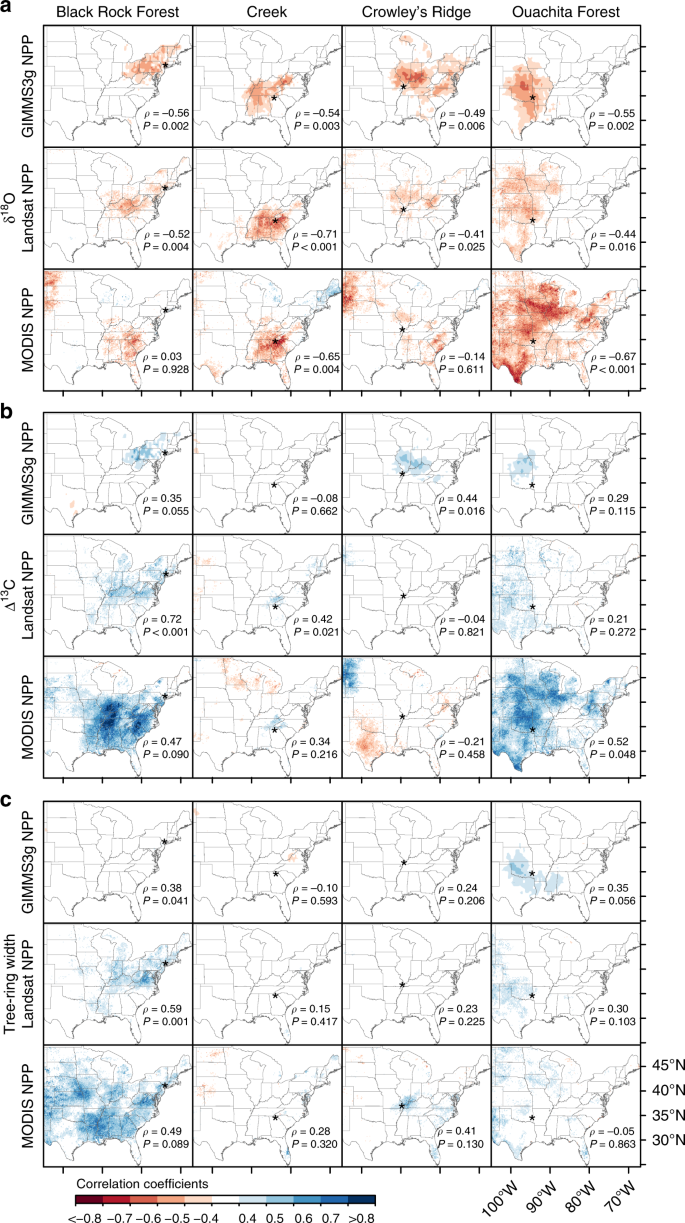 Tree-ring isotopes capture interannual vegetation productivity dynamics at  the biome scale | Nature Communications