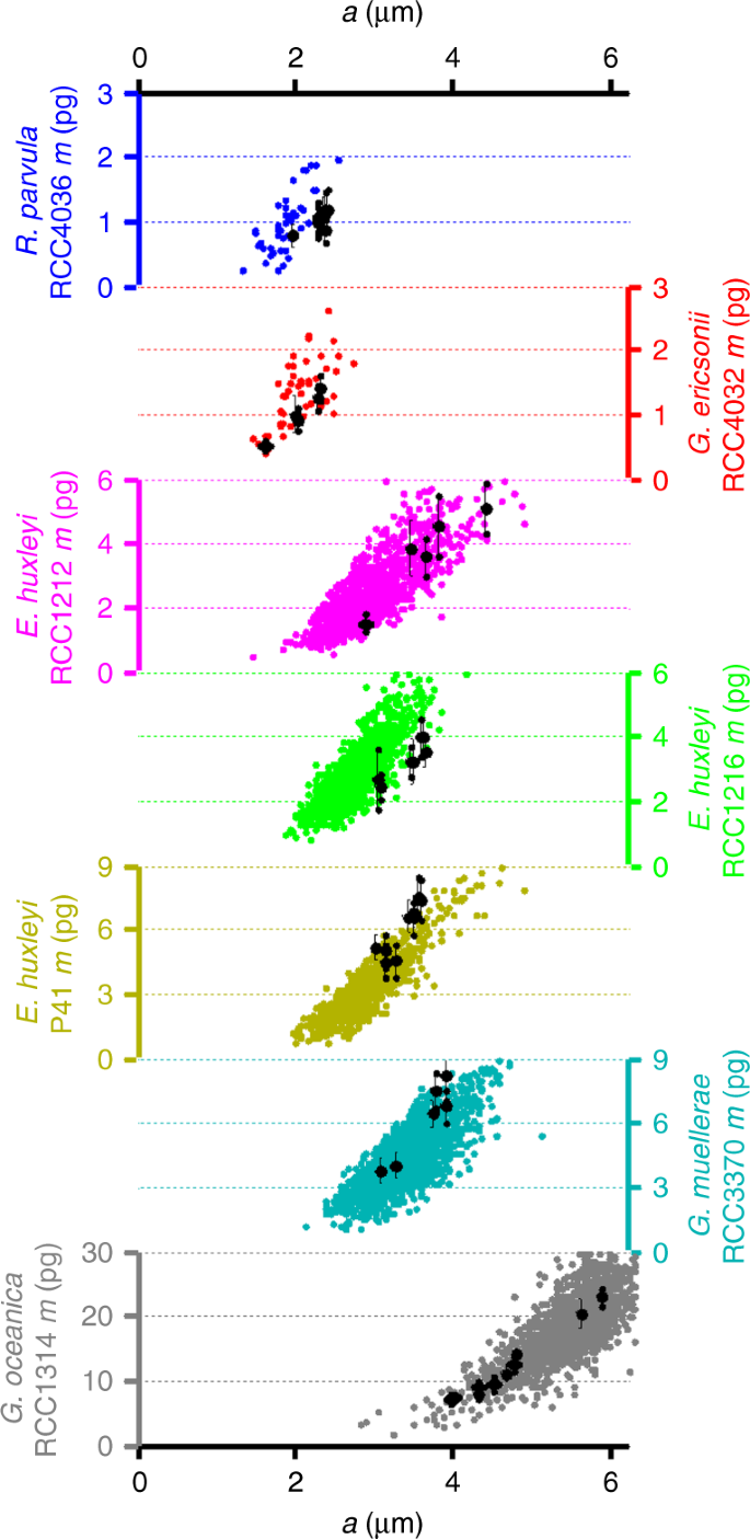 X Ray Nanotomography Of Coccolithophores Reveals That Coccolith Mass And Segment Number Correlate With Grid Size Nature Communications