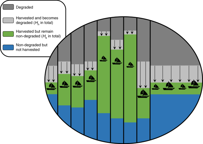 allocate natural resources figure 1