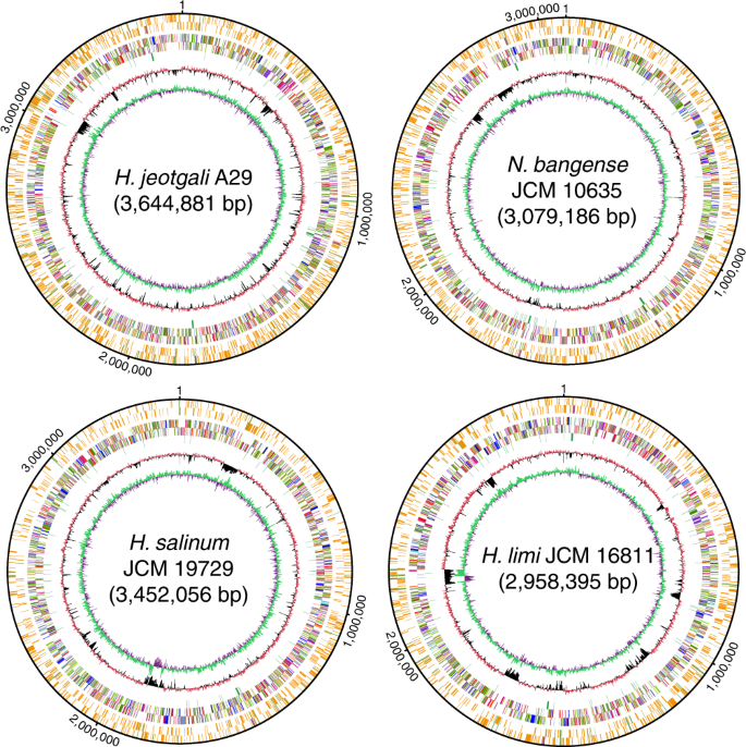 A New Type Of Dna Phosphorothioation Based Antiviral System In Archaea Nature Communications
