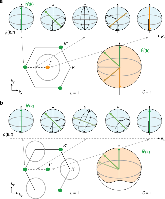 Measuring Topology From Dynamics By Obtaining The Chern Number From A Linking Number Nature Communications