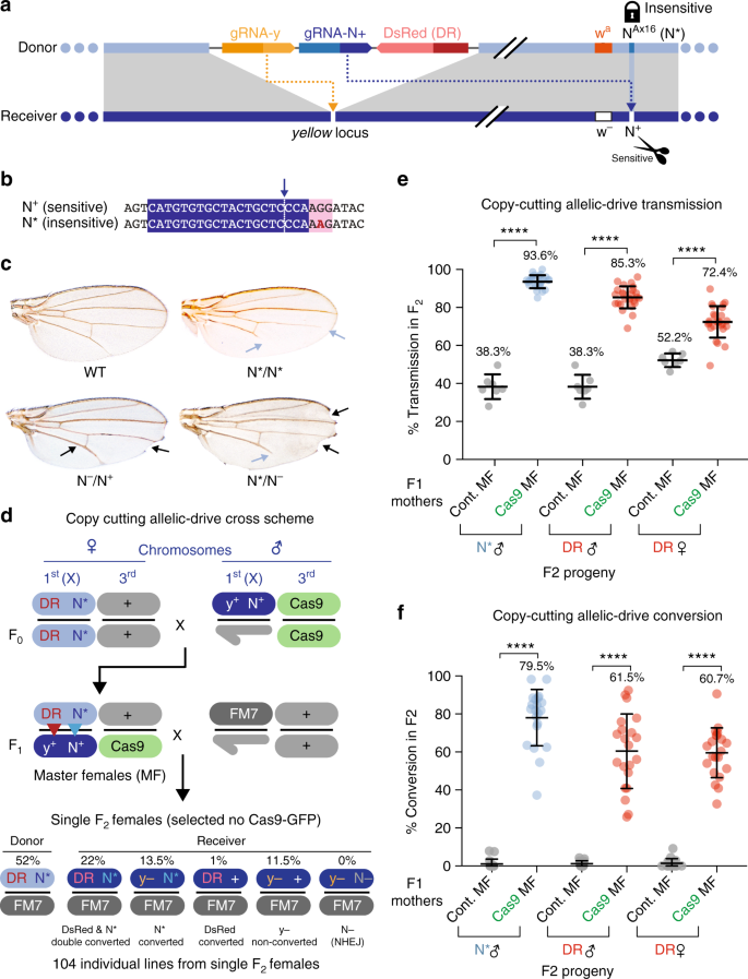 Efficient Allelic Drive In Drosophila Nature Communications