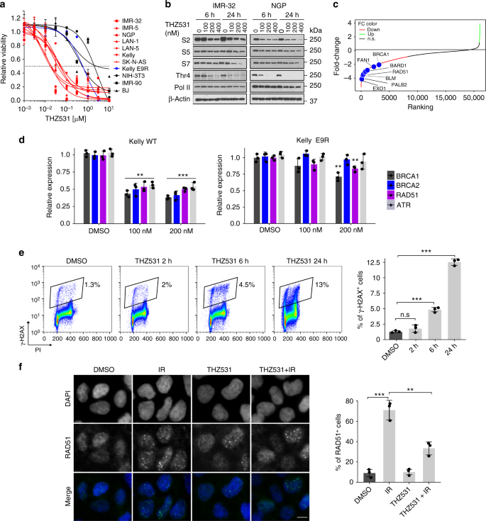 Cdk12 Loss In Cancer Cells Affects Dna Damage Response Genes Through Premature Cleavage And Polyadenylation Nature Communications