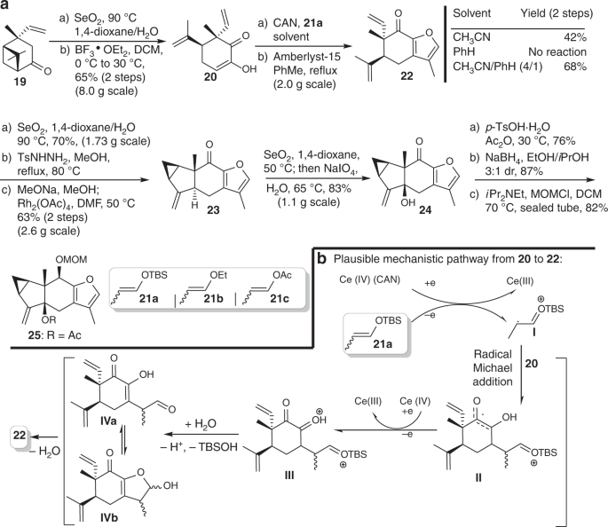 A Unified Strategy Toward Total Syntheses Of Lindenane Sesquiterpenoid 4 2 Dimers Nature Communications