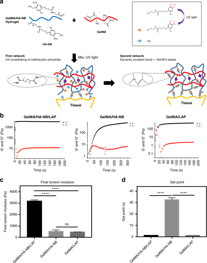 A Strongly Adhesive Hemostatic Hydrogel For The Repair Of Arterial And Heart Bleeds Nature Communications