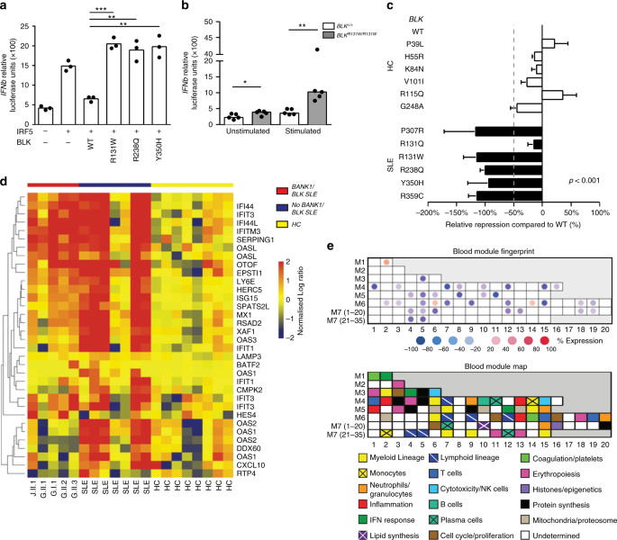 Functional rare and low frequency variants in BLK and BANK1 contribute to  human lupus | Nature Communications