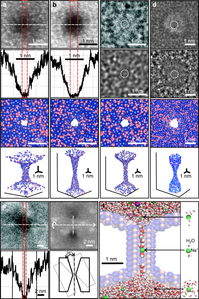 Measurements of the size and correlations between ions using an electrolytic point contact Nature Communications