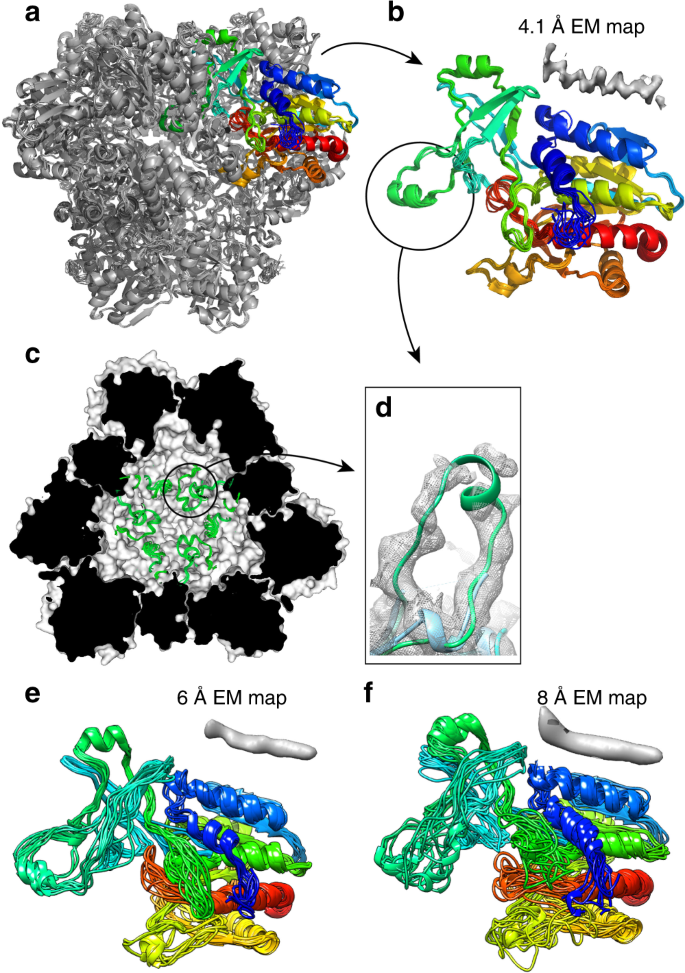 Integrated Nmr And Cryo Em Atomic Resolution Structure Determination Of A Half Megadalton Enzyme Complex Nature Communications