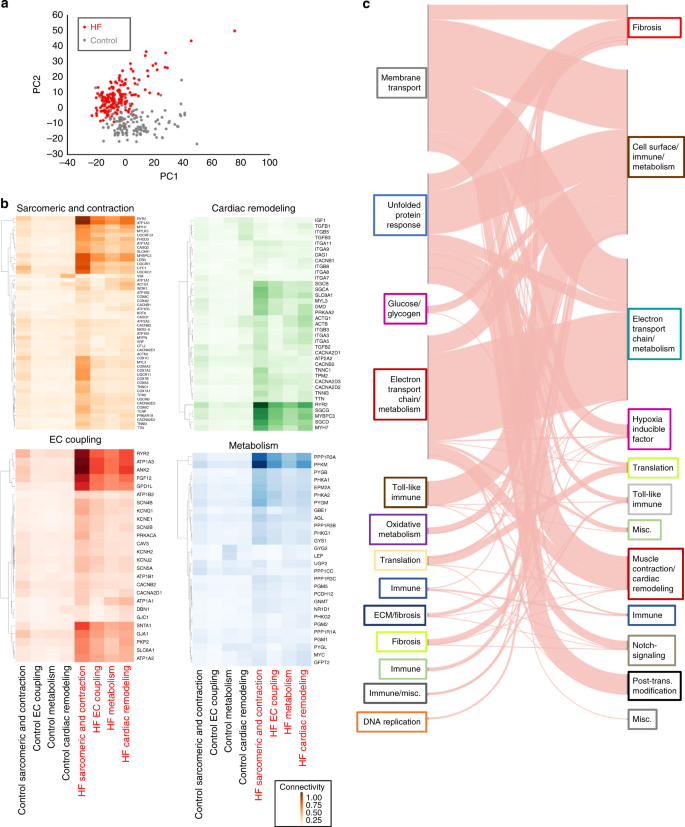 Pathologic Gene Network Rewiring Implicates Ppp1r3a As A Central Regulator In Pressure Overload Heart Failure Nature Communications