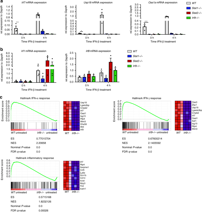 A Molecular Switch From Stat2 Irf9 To Isgf3 Underlies Interferon Induced Gene Transcription Nature Communications