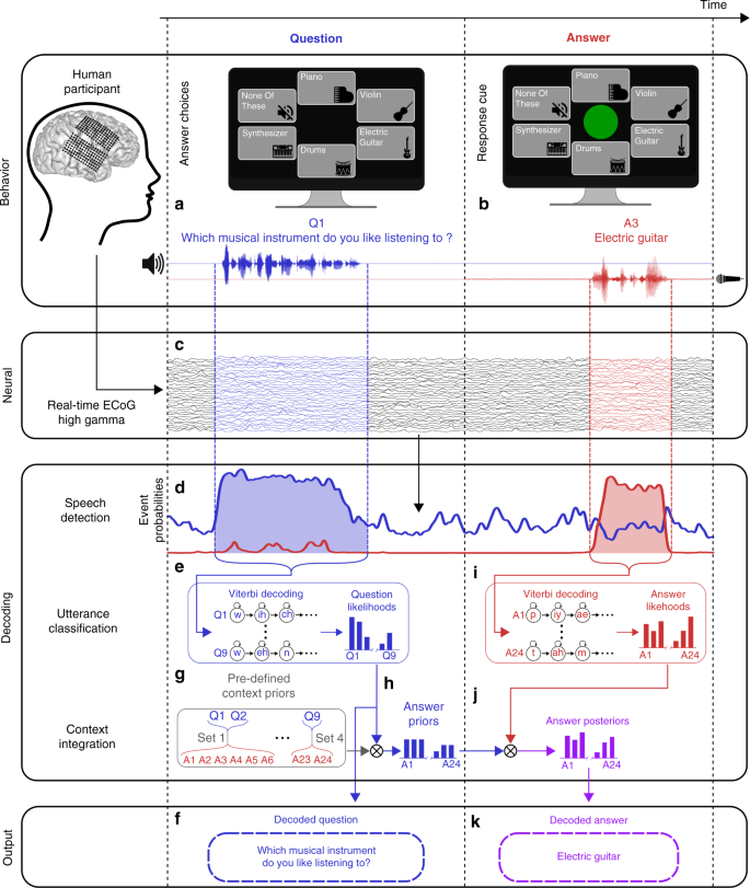 Real Time Decoding Of Question And Answer Speech Dialogue Using Human Cortical Activity Nature Communications