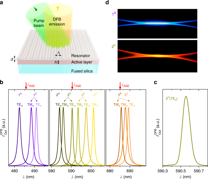 Solution-processed nanographene distributed feedback lasers | Nature  Communications