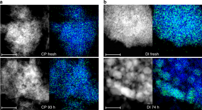 figure2