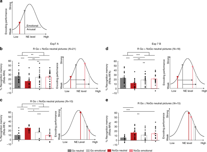 Action Boosts Episodic Memory Encoding In Humans Via Engagement Of A Noradrenergic System Nature Communications