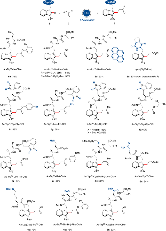 Late Stage Peptide C H Alkylation For Bioorthogonal C H Activation Featuring Solid Phase Peptide Synthesis Nature Communications