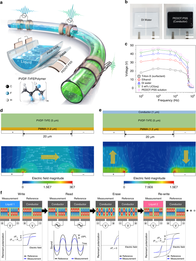 Sensing and memorising liquids with polarity-interactive ferroelectric  sound | Nature Communications