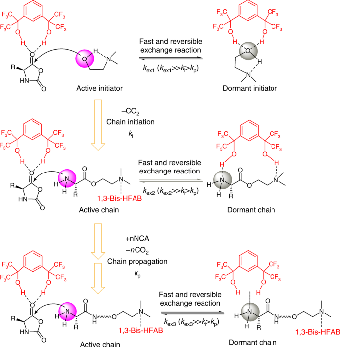 Living cationic ring-opening polymerization of 2-oxazolines initiated by  rare-earth metal triflates - RSC Advances (RSC Publishing)  DOI:10.1039/C4RA11404C