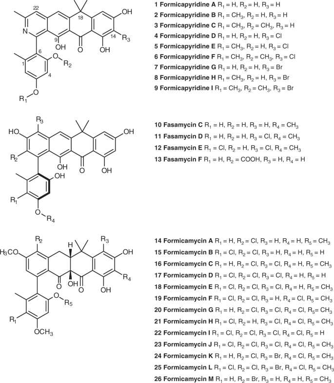 A role for antibiotic biosynthesis monooxygenase domain proteins in  fidelity control during aromatic polyketide biosynthesis | Nature  Communications