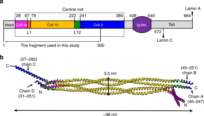 figure1