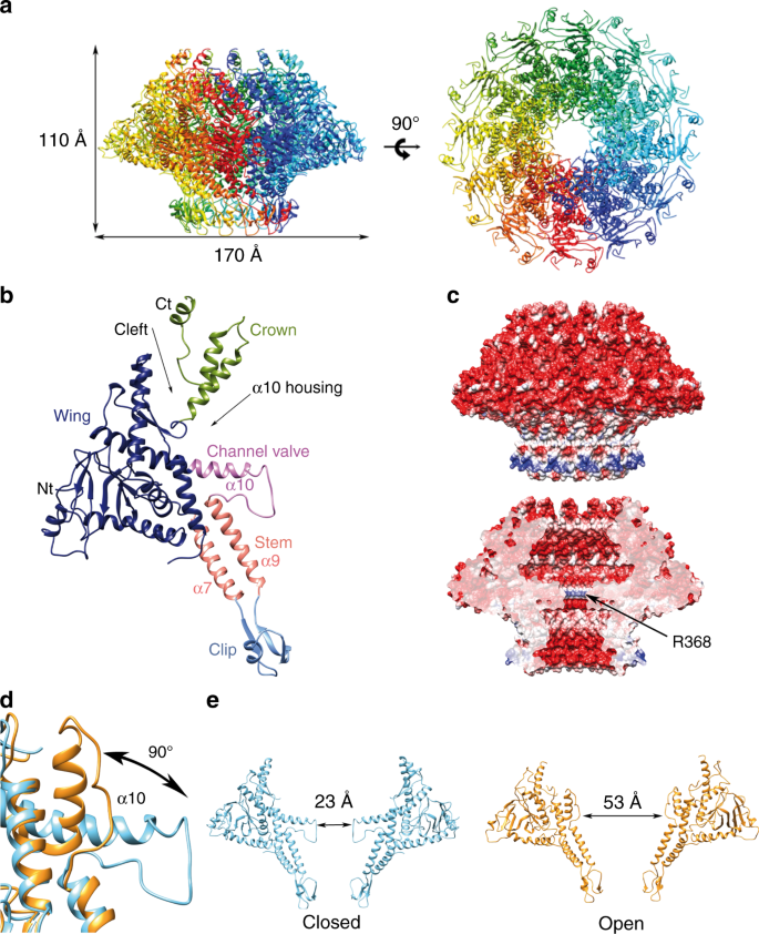 Structures Of T7 Bacteriophage Portal And Tail Suggest A Viral Dna Retention And Ejection Mechanism Nature Communications