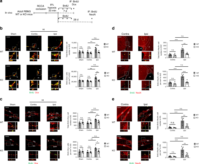 figure2