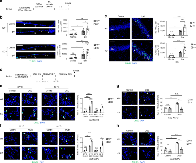 figure4