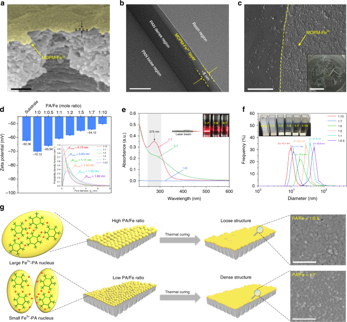 Metal-coordinated sub-10 nm membranes for water purification