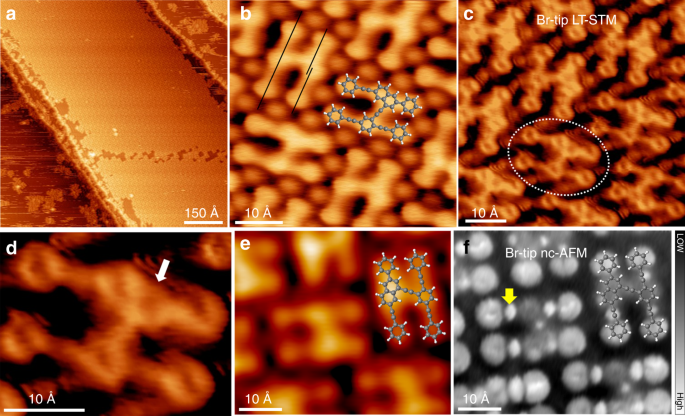 Reaction Selectivity Of Homochiral Versus Heterochiral Intermolecular Reactions Of Prochiral Terminal Alkynes On Surfaces Nature Communications