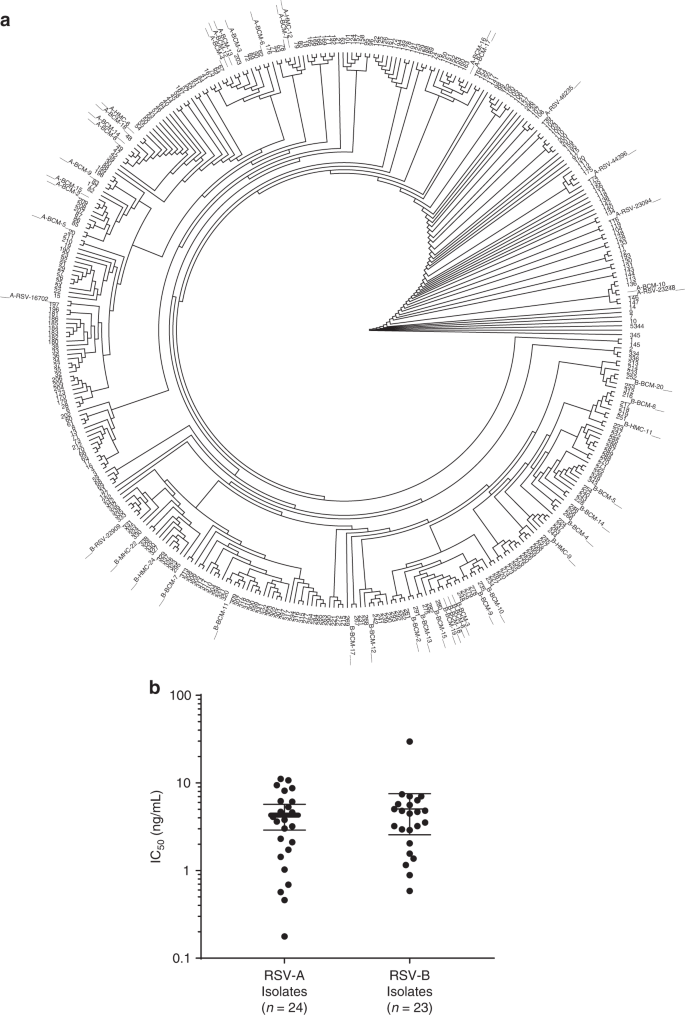 A Potent Broadly Neutralizing Human Rsv Antibody Targets Conserved Site Iv Of The Fusion Glycoprotein Nature Communications