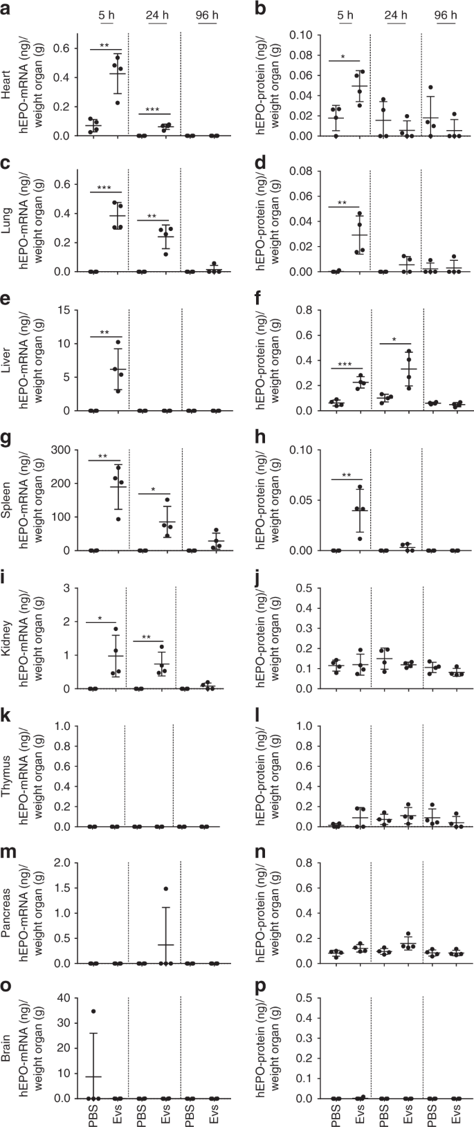 Linkage Between Endosomal Escape Of Lnp Mrna And Loading Into Evs For Transport To Other Cells Nature Communications