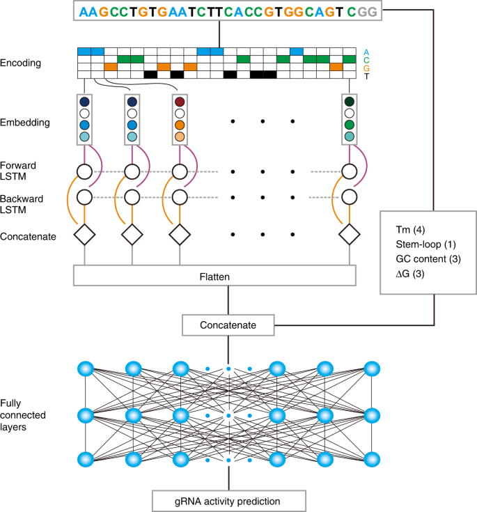 figure6