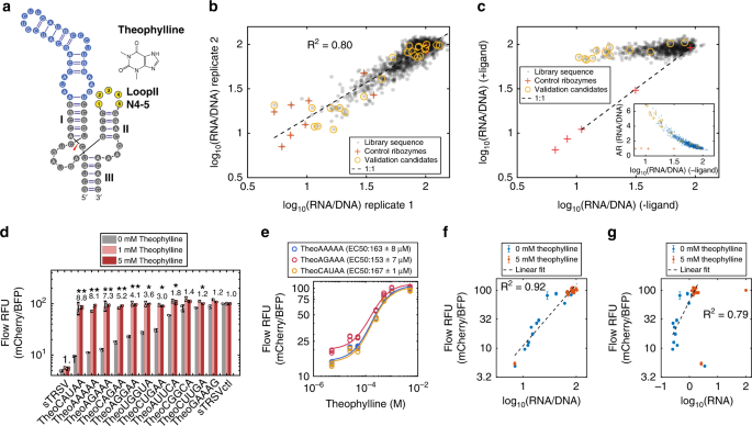 Massively Parallel Rna Device Engineering In Mammalian Cells With Rna Seq Nature Communications