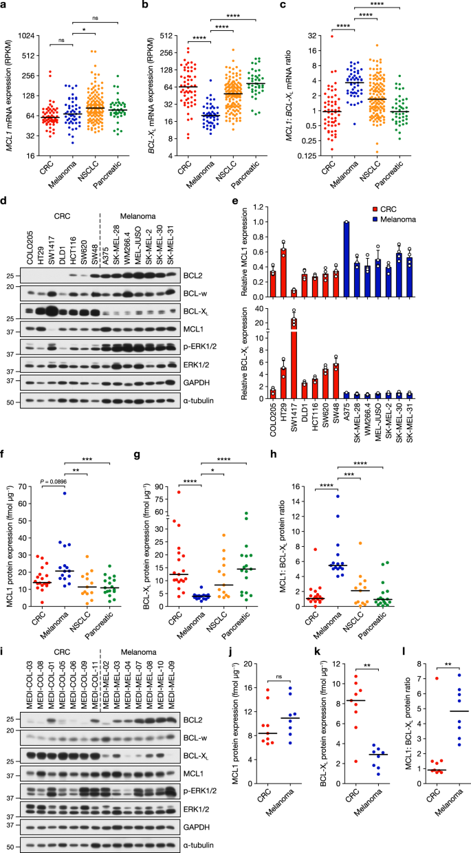 Targeting Melanoma S Mcl1 Bias Unleashes The Apoptotic Potential Of Braf And Erk1 2 Pathway Inhibitors Nature Communications